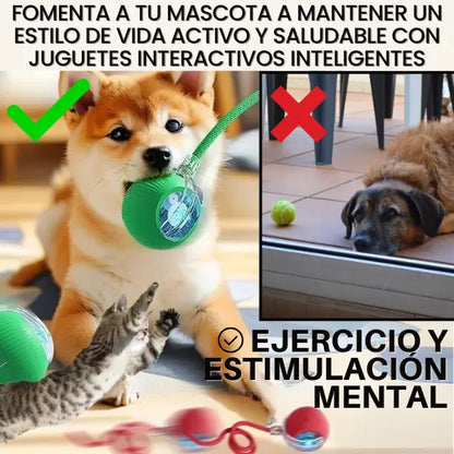 ¡Reduce La Ansiedad Por Separación!